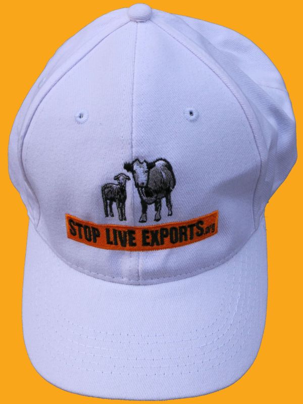 White Stop Live Exports cap