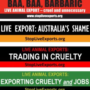 Stop Live Exports bumper stickers
