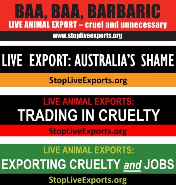Stop Live Exports bumper stickers