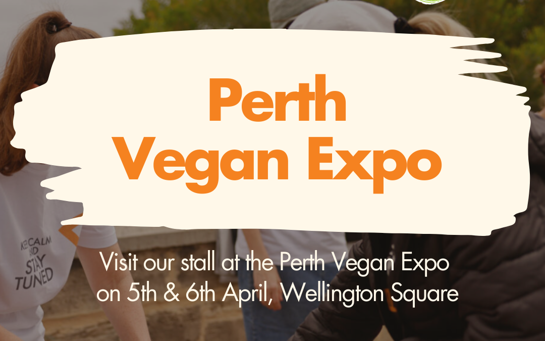 Perth Vegan Expo | 5-6th of April 2025